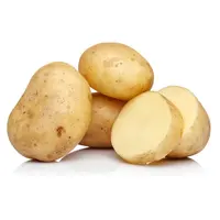 Potato